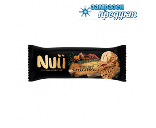Сладолед Нуи 90мл Тексаски пекан Сладолед Нуи 90мл Тексаски пекан