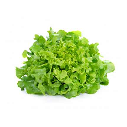 Зелена салата