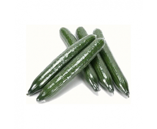 Краставица Фолио Краставица Фолио