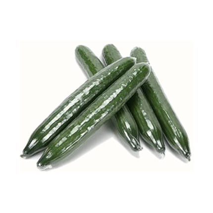 Краставица Фолио