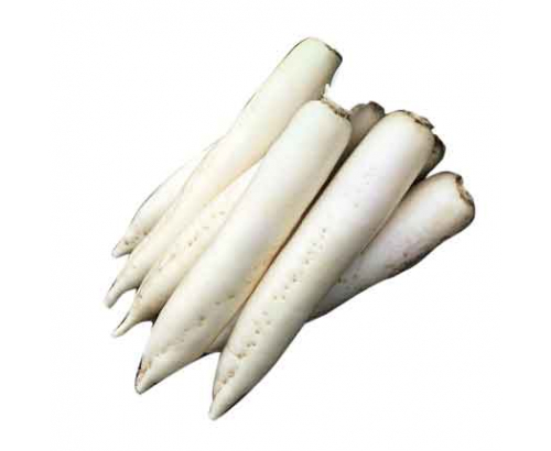 Ряпа дълга Ряпа дълга