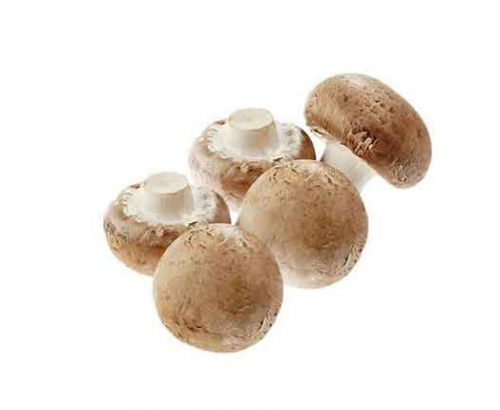 Гъба Кралска печурка Гъба Кралска печурка