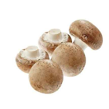 Гъба Кралска печурка