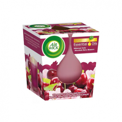 Ароматна свещ Еъруик 105г