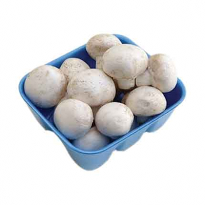 Гъба Тарелка 250г