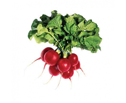 Репички Репички