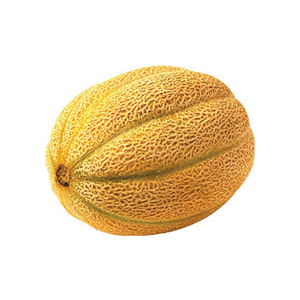 Пъпеш български