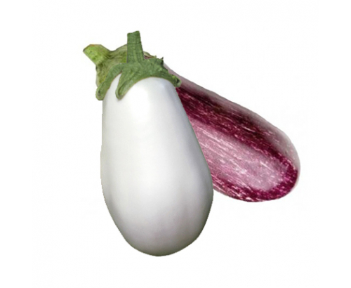 Патладжан бял или шарен Патладжан бял или шарен