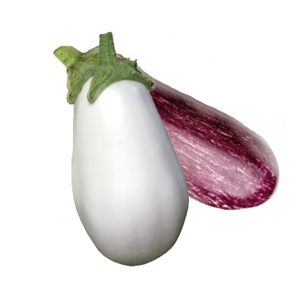 Патладжан бял или шарен