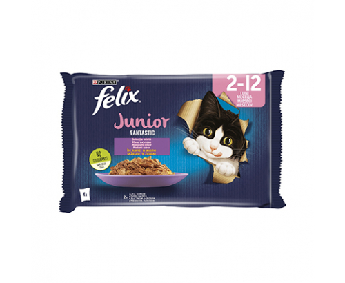 Храна за котки Феликс Сенсейшънс Джуниър 4х85г Пауч Пилешко Месо и сьомга Храна за котки Феликс Сенсейшънс Джуниър 4х85г Пауч Пилешко Месо и сьомга