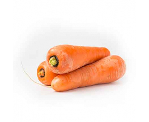 Морков Морков